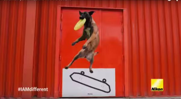 Image rectangle 600 x