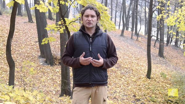 Image rectangle 600 x