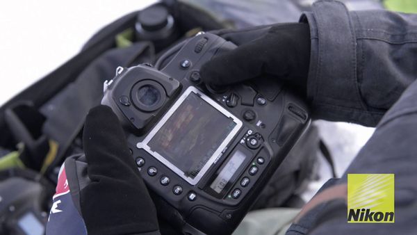 Image rectangle 600 x