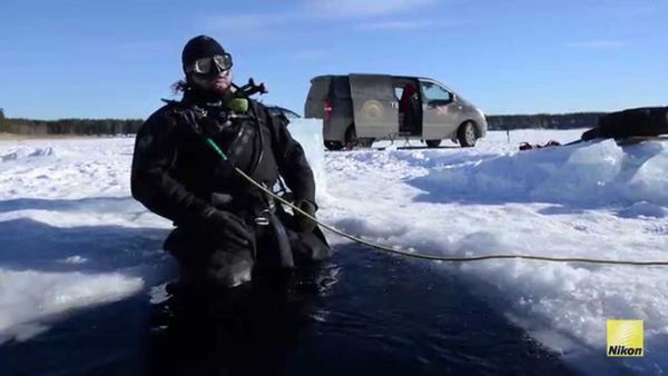 Image rectangle 600 x