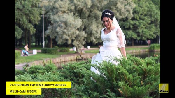 Image rectangle 600 x