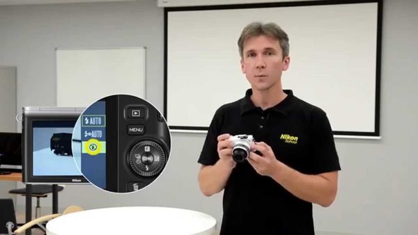 Image rectangle 600 x