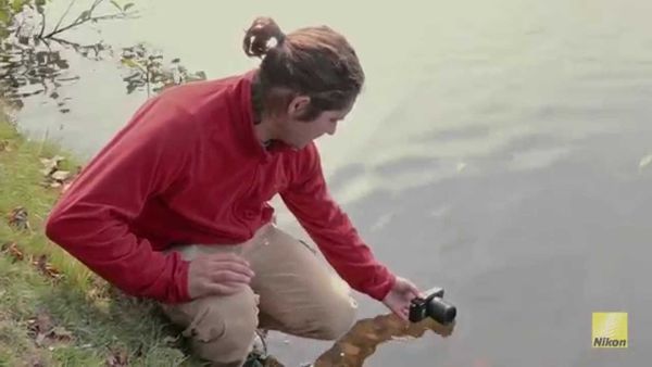 Image rectangle 600 x