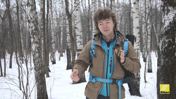 Image rectangle 600 x