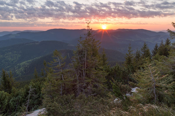 Image rectangle 600 x