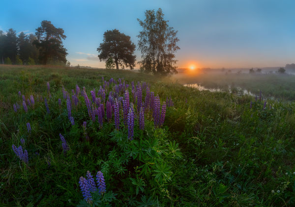 Image rectangle 600 x