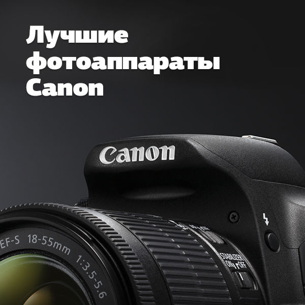 Image rectangle 600 x