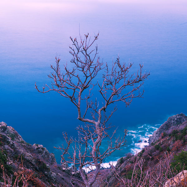 Image rectangle 600 x