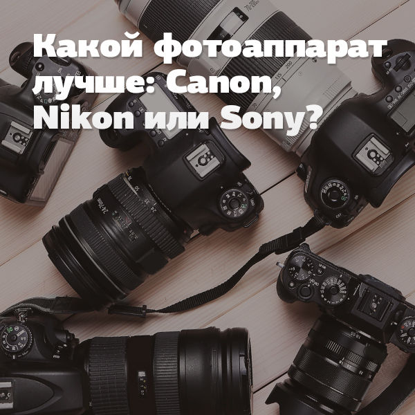 Image rectangle 600 x