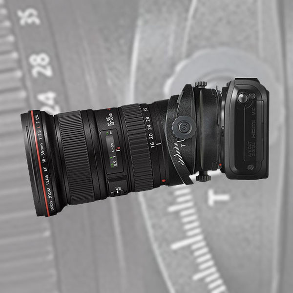 Image rectangle 600 x