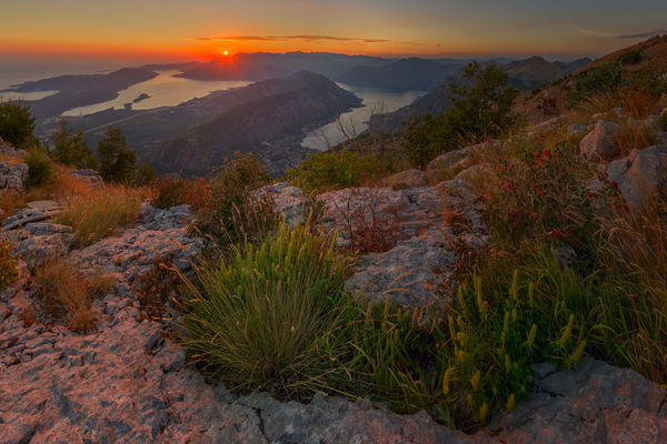 Image rectangle 600 x