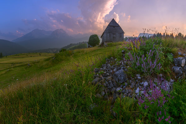 Image rectangle 600 x