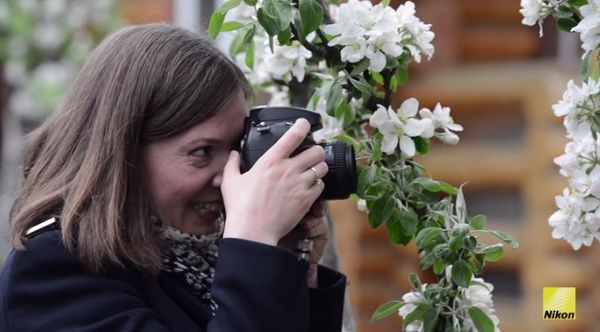 Image rectangle 600 x