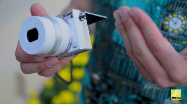 Image rectangle 600 x