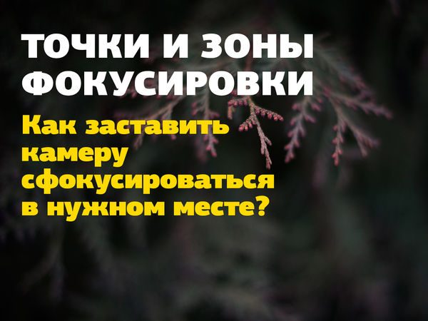 Image rectangle 600 x