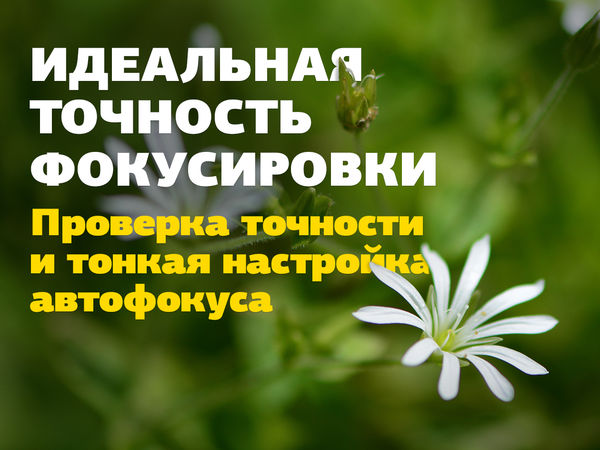 Image rectangle 600 x