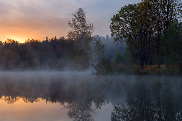 Image rectangle 600 x