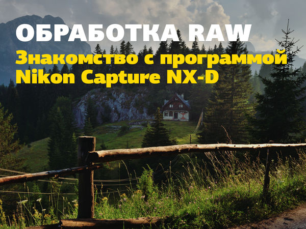 Image rectangle 600 x