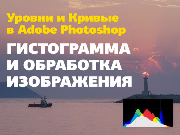 Image rectangle 600 x