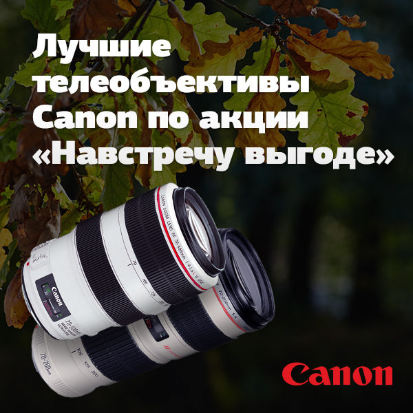 Image rectangle 600 x