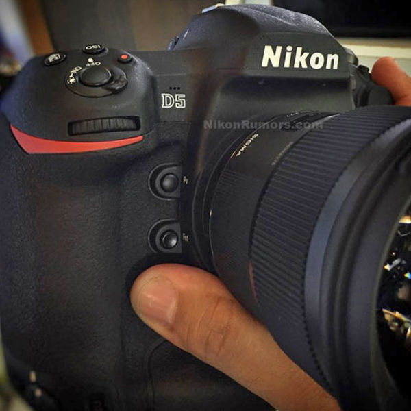 Image rectangle 600 x