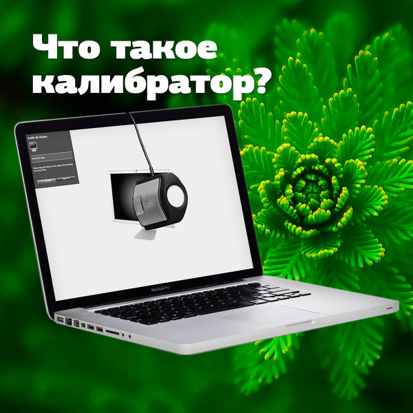 Image rectangle 600 x