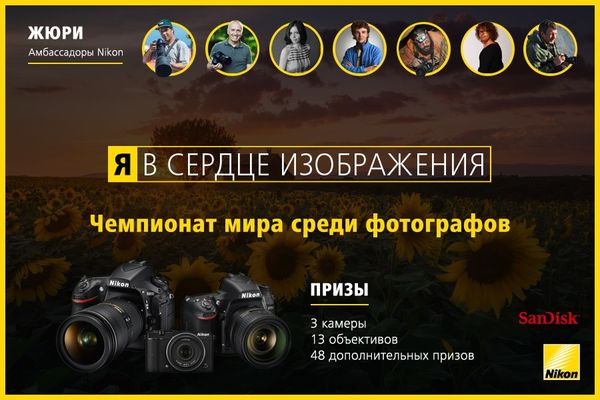 Image rectangle 600 x