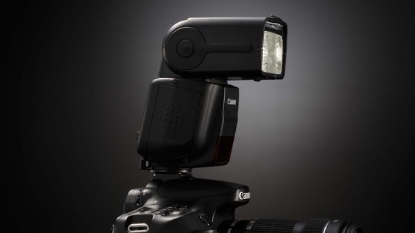 Image rectangle 600 x