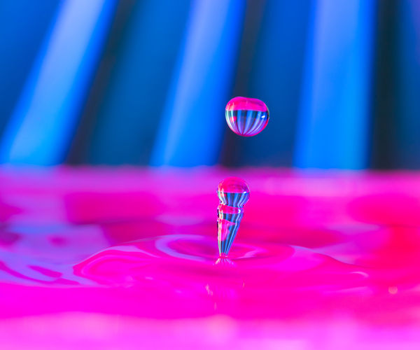 Image rectangle 600 x