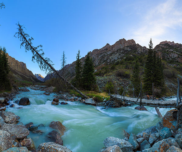 Image rectangle 600 x