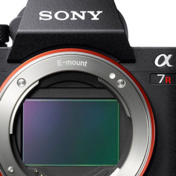 Image rectangle 600 x