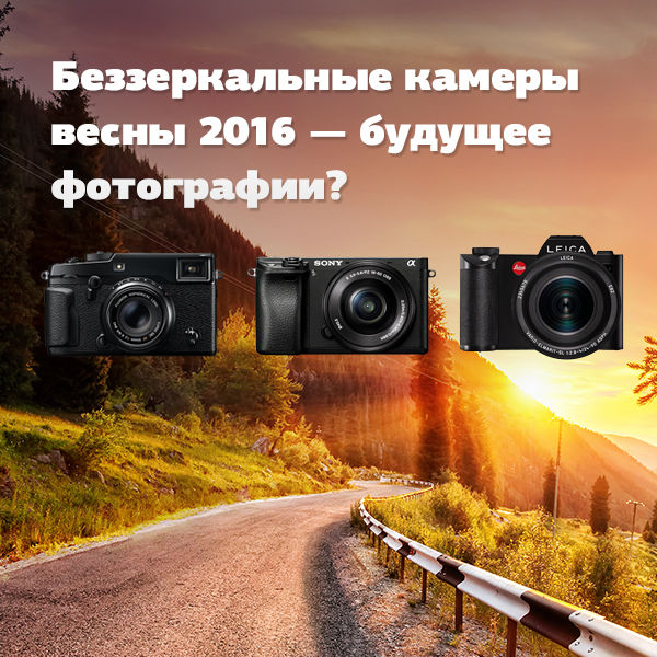 Image rectangle 600 x