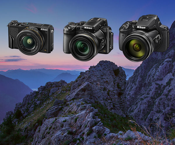 Image rectangle 600 x