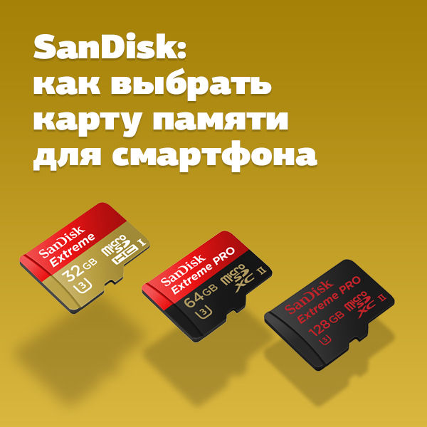 Image rectangle 600 x