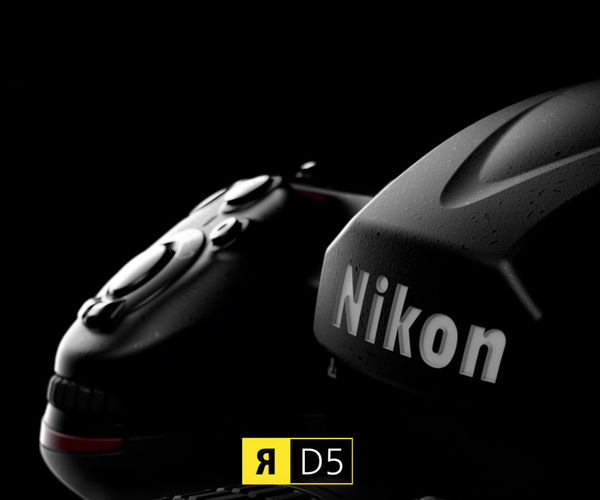 Image rectangle 600 x