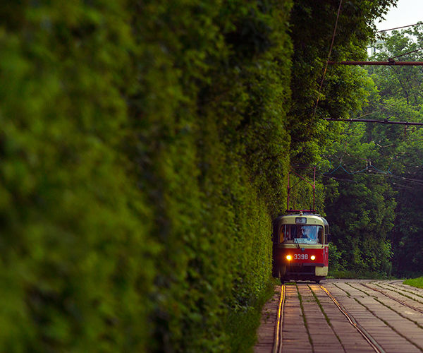 Image rectangle 600 x