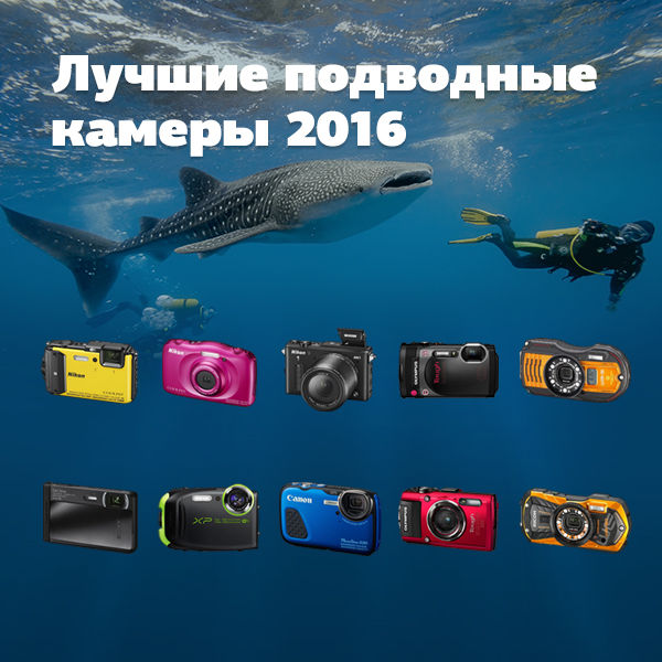 Image rectangle 600 x