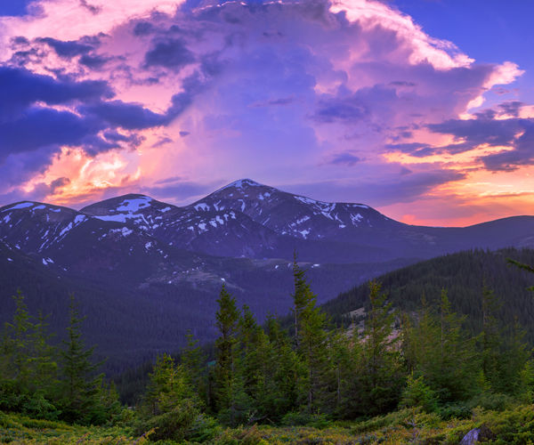 Image rectangle 600 x