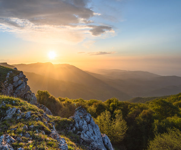 Image rectangle 600 x