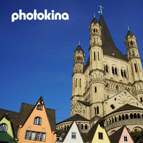 Image rectangle 600 x