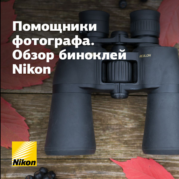 Image rectangle 600 x