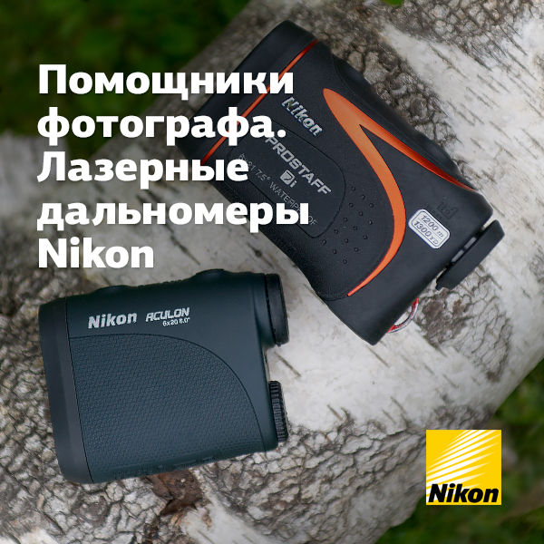 Image rectangle 600 x