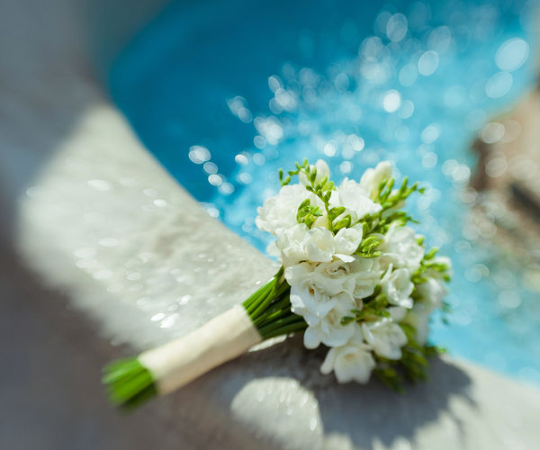 Image rectangle 600 x