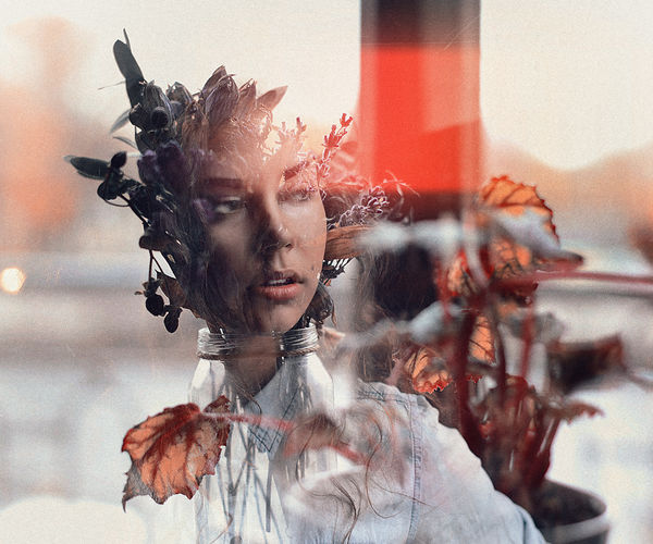 Image rectangle 600 x