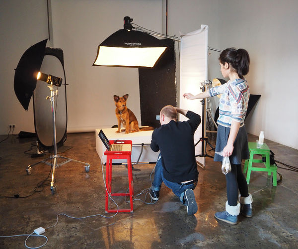 Image rectangle 600 x