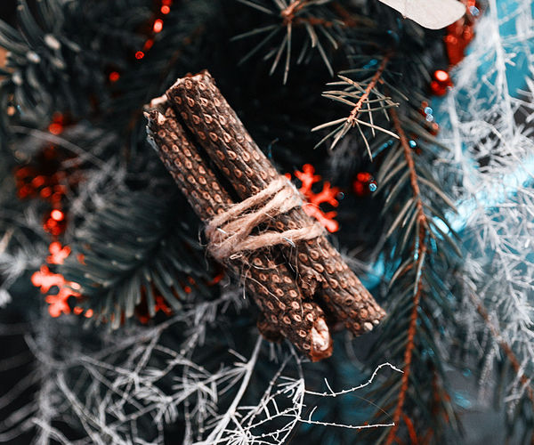 Image rectangle 600 x