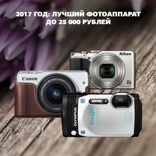 Image rectangle 600 x