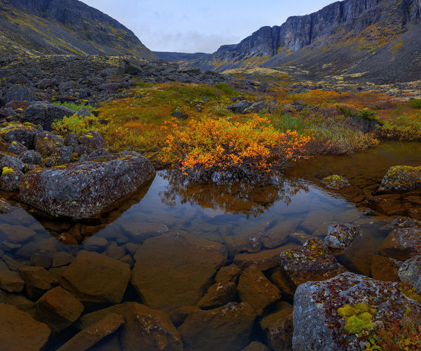 Image rectangle 600 x