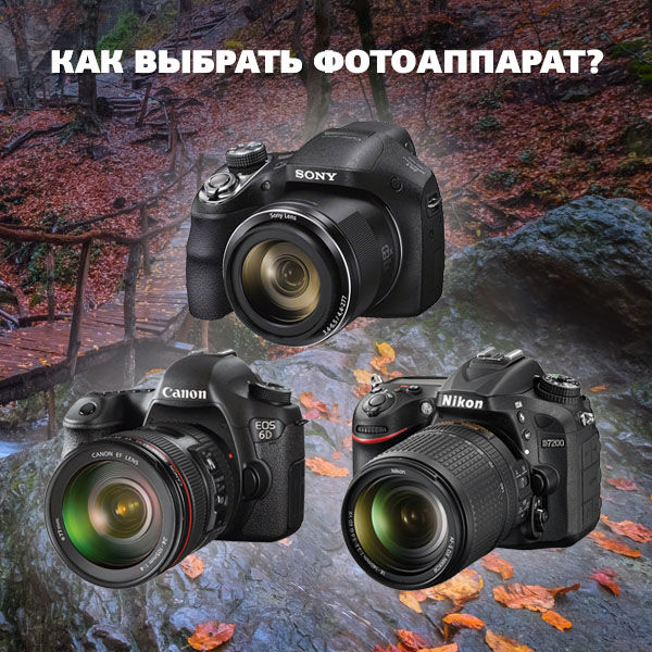 Image rectangle 600 x