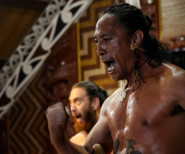 Image rectangle 600 x